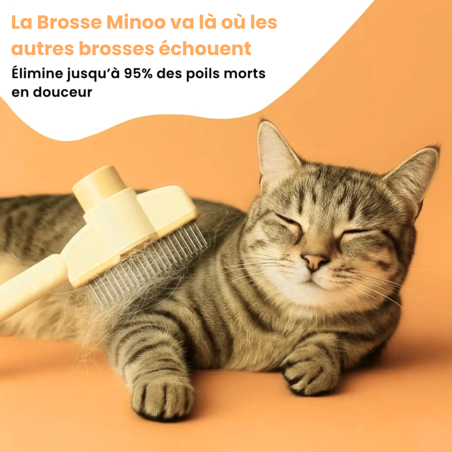 Brosse anti-poils Minoo™
